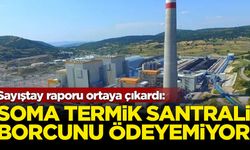 Sayıştay raporu ortaya çıkardı: Özelleştirilen Soma Termik Santrali borcunu ödeyemiyor