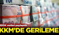 BDDK verileri paylaşıldı: KKM'de gerileme