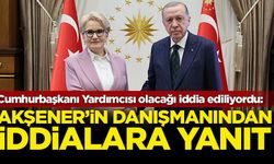 Cumhurbaşkanı Yardımcısı olacağı iddia ediliyordu: Akşener'in danışmanından açıklama