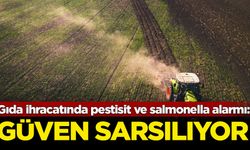 Gıda ihracatında pestisit ve salmonella alarmı