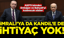 AKP'li Şamil Tayyar'dan Erdoğan ve Bahçeli'yi kızdıracak sözler: İmralı'ya da, Kandil'e de ihtiyaç yok