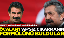 MHP, Öcalan'ı 'Af'sız çıkarmanın formülünü buldu! Feti Yıldız'dan skandal sözler