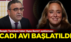 Sezgin Tanrıkulu'ndan 'Ayşe Barım' açıklaması: Yeni bir cadı avı başlatıldı