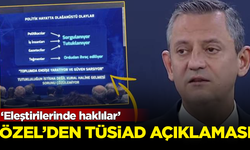 Özgür Özel'den TÜSİAD açıklaması: Eleştirilerinde haklılar