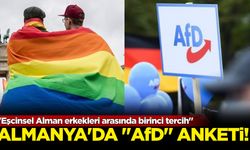 Almanya'da 'AfD' anketi! "Eşcinsel Alman erkekleri arasında birinci tercih"