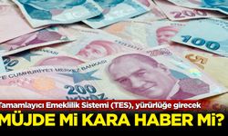 Tamamlayıcı Emeklilik Sistemi (TES), yürürlüğe girecek! Müjde mi kara haber mi?