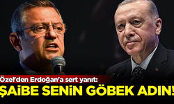 Özel'den Erdoğan'a sert yanıt: Şaibe senin göbek adın!