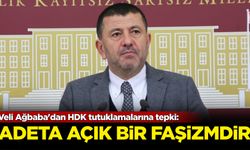 Veli Ağbaba'dan HDK tutuklamalarına tepki: Adeta açık bir faşizmdir!