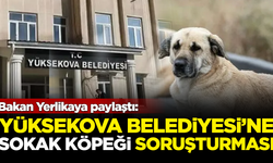 İçişleri Bakanı Yerlikaya duyurdu: Yüksekova Belediyesi'ne sokak köpeği soruşturması