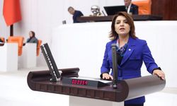 CHP'li Kış'tan asgari ücret eleştirisi: "Bu tabloyu yaratan yanlış ekonomi politikalarıyla AKP iktidardır.''