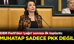 DEM Parti’den ‘çağrı’ sonrası ilk toplantı: Muhatap sadece PKK değil