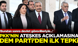 PKK'nın ateşkes açıklamasına DEM Parti'den ilk tepki: Bundan sonra devlet görevlileriyle...