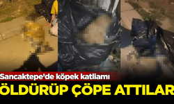 Sancaktepe’de köpek katliamı! Öldürüp çöpe attılar