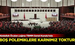 Abdullah Öcalan çağrısı TBMM Genel Kurulu'nda: Boş polemiklere karnımız toktur!