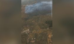 İzmir'in Bayındır ilçesinde yangın