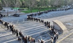 Bedava bir dal için kilometrelik kuyruk oluştu