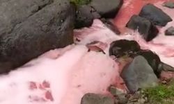 Rize’de dere kırmızıya döndü: Halk endişeli!