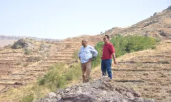 "Toprak Dede’nin İzinden: Iğdır’da 2500 Dönüm Arazi Yeşeriyor"