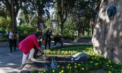 Özgür Özel, Zübeyde Hanım'ın mezarına karanfil bıraktı
