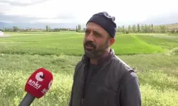 Konya'da çiftçi isyan etti: Ürettikçe mutsuz oluyoruz