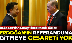 Babacan’dan Saray’ı kızdıracak sözler: Erdoğan'ın referanduma gidecek cesareti yok