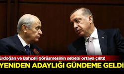 Erdoğan ve Bahçeli görüşmesinin sebebi ortaya çıktı! Yeniden adaylığı gündeme geldi