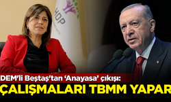 DEM'li Beştaş'tan dikkat çeken çıkış: Anayasa değişikliği çalışmalarını TBMM yapar