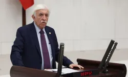 DEM Parti'nin Meclis Başkan adayı belli oldu