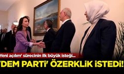 'Yeni açılım' sürecinin ilk büyük isteği: DEM Parti ‘özerklik’ istedi