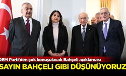 DEM Parti'den çok konuşulacak Bahçeli açıklaması: Sayın Bahçeli gibi düşünüyoruz
