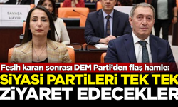 PKK'nın fesih kararı sonrası DEM Parti'den flaş hamle! Siyasi partileri tek tek ziyaret edecekler
