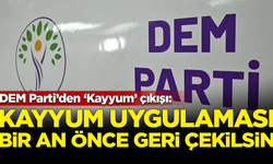 DEM Parti’den ‘Kayyum’ çıkışı: Bir an önce geri çekilsin