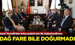 DEM Parti Grup Başkanvekili Sezai Temelli'den infaz paketi için ilk değerlendirme