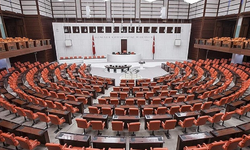 DEM Parti'nin yeni TBMM Başkanvekili belli oldu