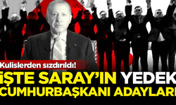 Kulislerden sızdırıldı! İşte Saray'ın 'yedek' Cumhurbaşkanı adayları...