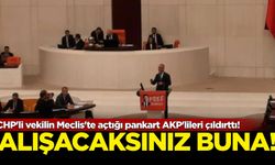 CHP'li vekilin Meclis'te açtığı pankart AKP'lileri çıldırttı! Alışacaksınız buna...