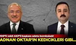 MHP'li vekil AKP'li başkanı adeta bombaladı! “Adnan Oktar’ın kedicikleri gibi…”