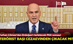 Turhan Çömez'den Erdoğan'ı terletecek PKK sorusu! Terörist başı cezaevinden çıkacak mı?