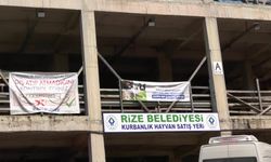 Rize’de kurban satışı durma noktasında: Besiciler Diyanete ve tarım politikalarına tepkili