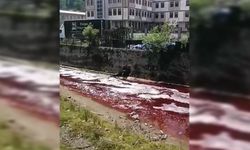 Rize'de kurban kanları dereyi ve denizi kırmızıya boyadı