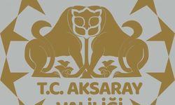 Aksaray'daki sıcak hava balonu kazasında 1 kişi öldü, 12 kişi yaralandı