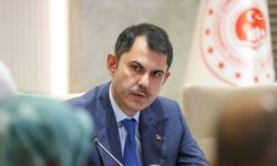 Bakan Kurum, Bilecik'te meydana gelen yangınlarda 47 bağımsız birimin yıkıldığını duyurdu