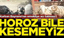 Kurban Bayramı'nın emekliye acı tablosu: Horoz bile kesemeyiz
