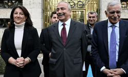 İmralı Heyetinin yeni üyesi belli oldu