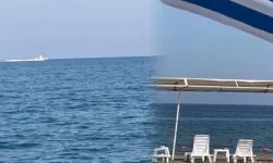 Sahilde köpek balığı alarmı! Plaj boşaltıldı