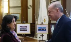 Erdoğan'dan DEM Partili isme sürpriz telefon!