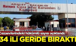 Cezaevlerindeki hükümlü sayısı açıklandı: 34 ili geride bıraktı