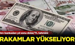 Dev bankadan yıl sonu dolar/TL tahmini: Rakamlar yükseliyor!