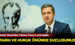 Deniz Yücel'den Yılmaz Tunç'a sert tepki: Tarih ve hukuk önünde suçlusunuz!