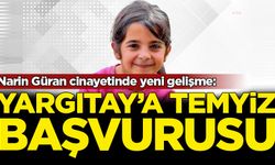 Narin Güran cinayetinde yeni gelişme: Yargıtay'a temyiz başvurusu